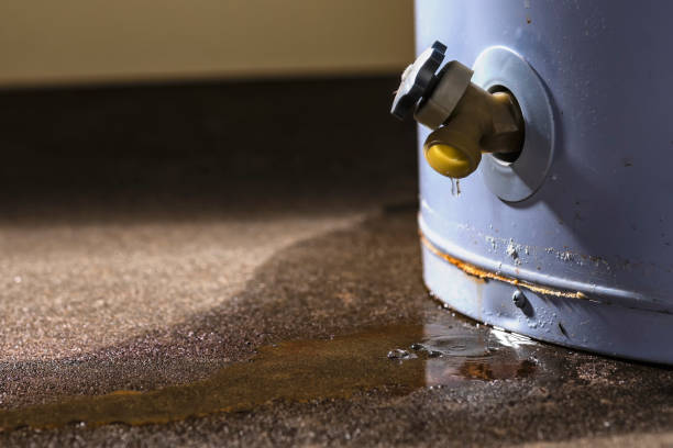 Best 24-hour water damage restoration  in Woodlyn, PA