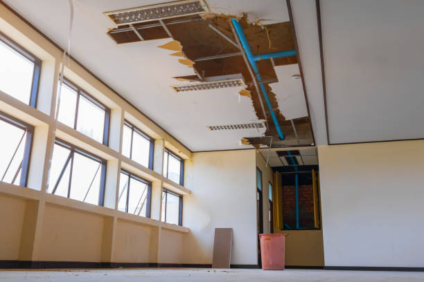 Best Carpet water damage restoration  in Woodlyn, PA