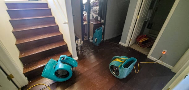 Best Water damage cleanup near me  in Woodlyn, PA