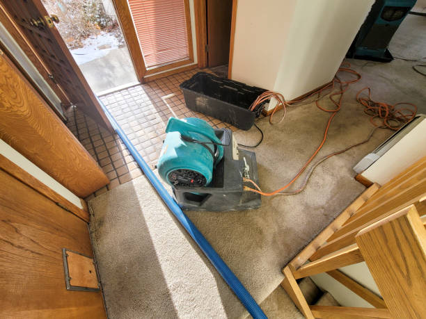Best Commercial water damage restoration  in Woodlyn, PA