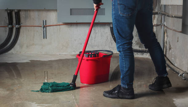 Water damage restoration insurance claims in Woodlyn, PA