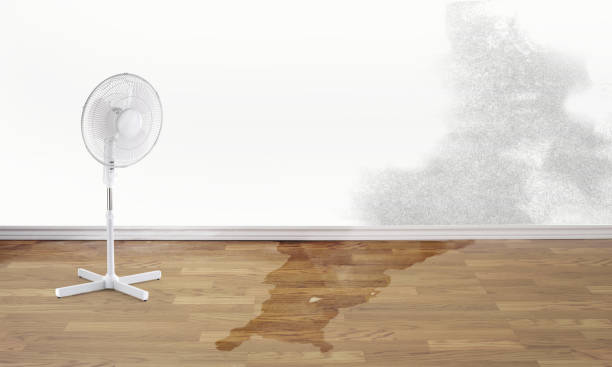 Local water damage restoration in Woodlyn, PA