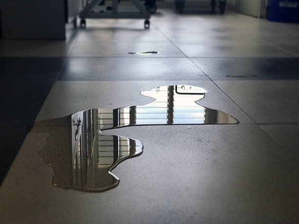 Best Professional water damage repair  in Woodlyn, PA