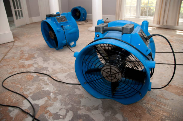 Best Ceiling water damage repair  in Woodlyn, PA
