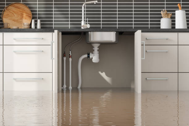 Best Water damage restoration mold remediation  in Woodlyn, PA