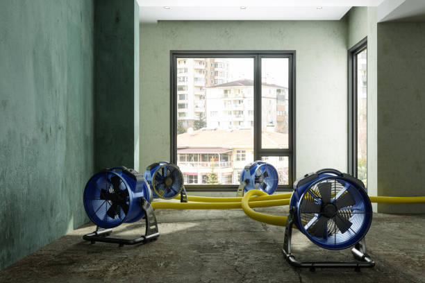 Best Fire Damage Restoration  in Woodlyn, PA