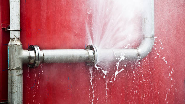 Best Mold removal after water damage  in Woodlyn, PA