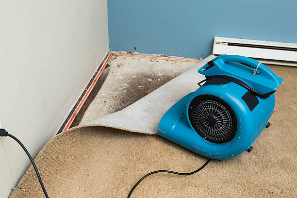 Trusted Woodlyn, PA Water damage restoration Experts